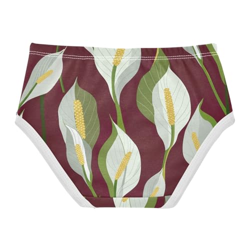 Personalized Toddler Underwear Custom 2t Cotton Cute Panties Girl Green Lily Underpants Briefs2