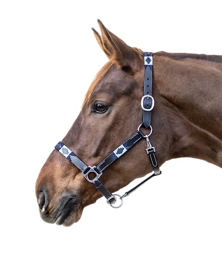 Cabestro de cuero negro para cuadra y transporte de caballos 3