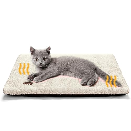 Amazon.co.uk Best Sellers The most popular items in Cat Bed Mats