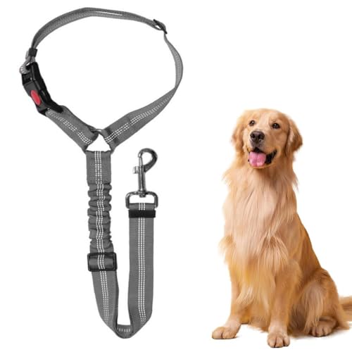 FENQURO cintura sicurezza cani auto, Cintura Sicurezza Cani Auto Regolabile Guinzaglio per Cani Auto con Assorbimento degli Urti Elastico, Prevenire interferenze con la guida, per Auto Sicurezza