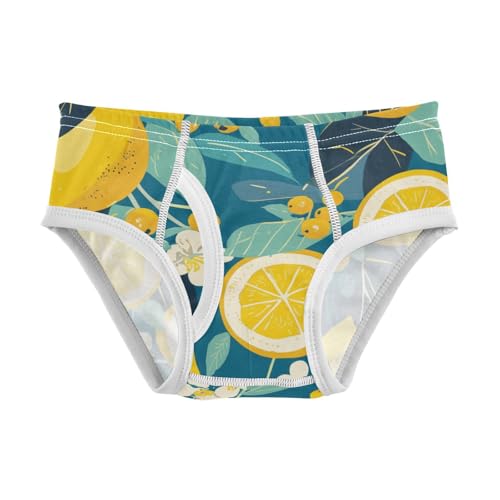 KLL Floral Indonesian Batik Motif Baby Boys Comfort Boxer Briefs Cute Children Panties