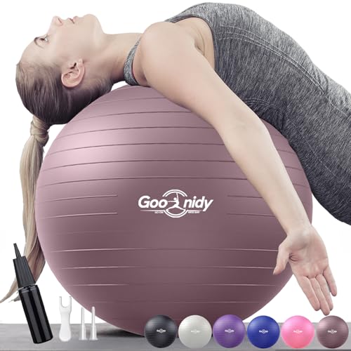 Goonidy Pelota De Pilates Grande Suave para Embarazadas 65 45 55 75 85 CM, Bola Yoga Anti-estallido con Bomba Soporta 2200lbs, Fitball Embarazo Ball Balon Pequeña