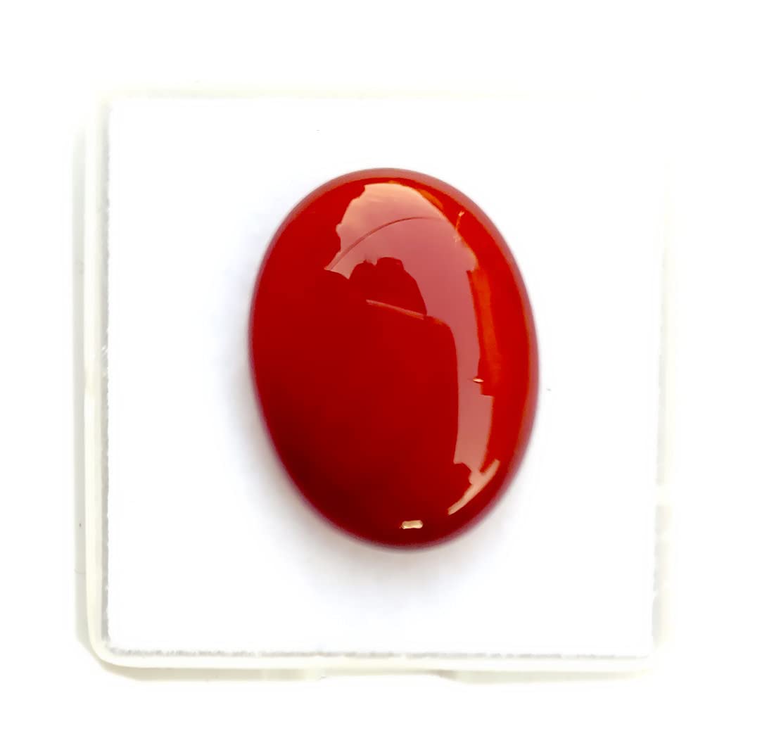 See full amazon price history chart for Certified Red Sulemani 8.25 Ratti Natural Red Yamini Hakik Gemstone Agate Rakt Hakik Gemstone for Men ad Women Certified Red Sulemani 8.25 Ratti Natural Red Yamini Hakik Gemstone Agate Rakt Hakik Gemstone for Men ad Women (B09CDS3LCR) Amazon Price History, Amazon Price Tracker