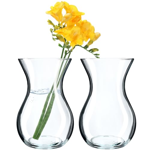 KADAX 2 Pezzi Vaso per Fiori, 18cm Vaso in Vetro, ⌀8cm Vaso per Fiori in Vetro con un Collo di 11cm, Vaso da Tavolo Trasparente, Vaso in Vetro Trasparente, Vaso in Vetro per Fiori, Vaso Decorativo per