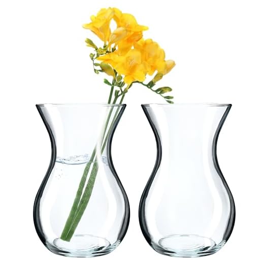 KADAX 2 Stück Blumenvase, 18cm Vase aus Glas, ⌀8cm Glasblumenvase mit einem 11cm Hals, Durchsichtige Tischvase, Klarglasvase, Glasvase für Blumen, Dekovase für Wohnzimmer (2 Stück)