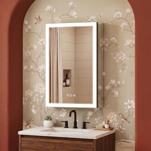 TIFULLHOME 16x24 Mirror Cabinet Black