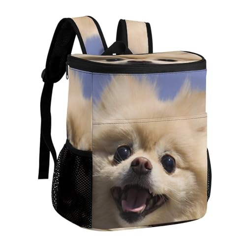 Sac à dos isotherme étanche et sac de pique-nique de camping