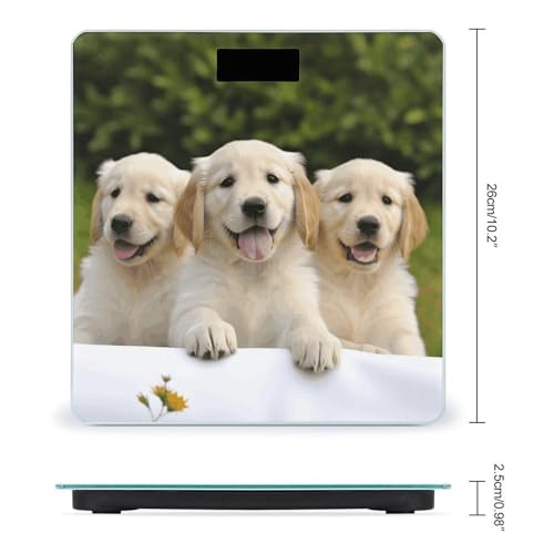 Báscula digital de baño tema Golden Retriever 400 lb vidrio templado miniatura 2