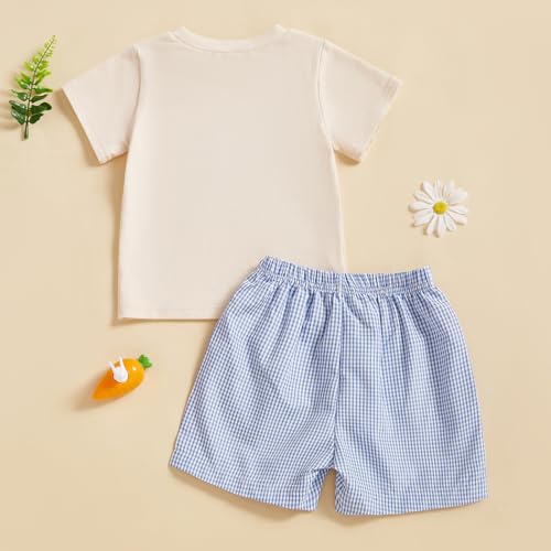 Image of Toddler Baby Boy Easter Rabbit Outfit Short Sleeve Bunny Carrot Smocked T-shirt Elastic Waist Shorts Summer Clothes