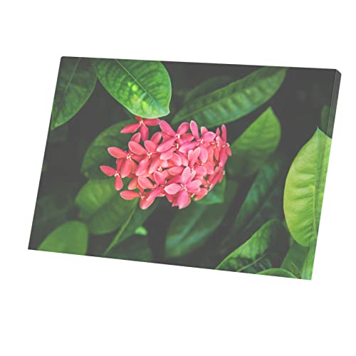 Tableau Fleurs Ixora Rose Toile Imprimée 60x40cm Déco Murale