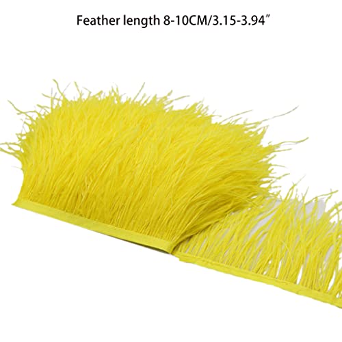 1 metro con piume di struzzo, 8 - 10 cm, bordo a