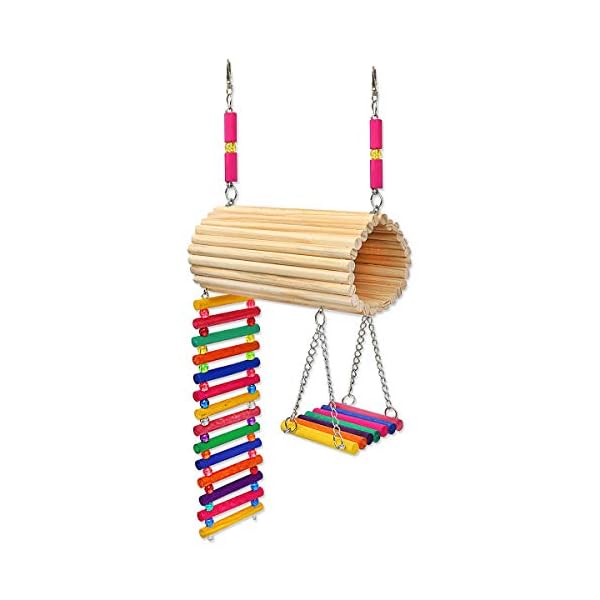 Golden Pets Brinquedo Playground Twister Hamster Calopsita Periquito - Imagem 4