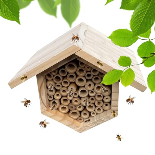 �~�c�o�`�̑��� �{�I�� - �ؐ��{�I�� �؍ސ�,����ݗ���r�[�n�C�u,��p����у|�[�`�p����юŐ��p����щ��O�p����щ����p����ђ���p����уo���R�j�[�p����уe���X�p����э�p����і؂̊��p