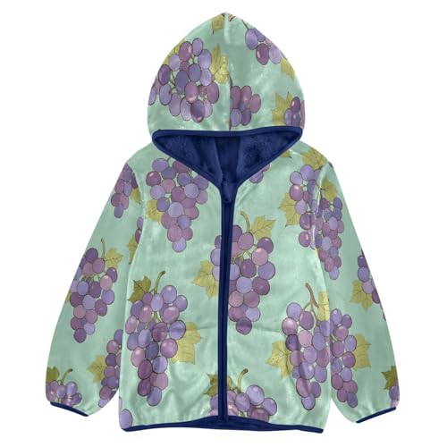 Grapes and Leaves Pattern Print Toddler Fleece Jacket Girl Boys Hooded Fleece Jacket Coat Warm Outwear Zip-up 3-10T
