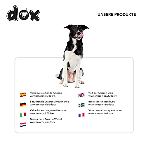 DDOXX Airmesh Hundehalsband - Stabiles und Verstellbares Welpenhalsband für alle Größen - S (Grün)