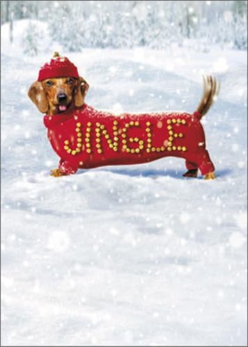 Jingle Dog - Set of 10 Funny/Humorous Dachshund Christmas Cards