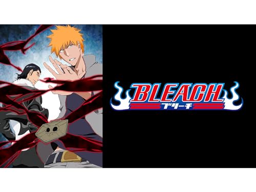 『『BLEACH』死神代行消失篇』