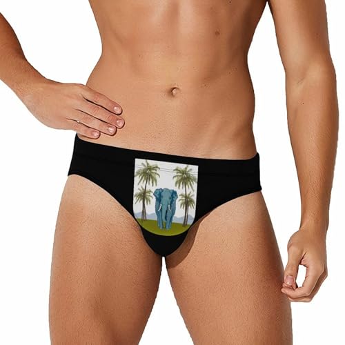 Arms of Portuguese Ceylon Men's Swim Brief Sexy Bikini Swimwear Swimsuit Trunks Bathing Suits