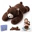 Brown Bear