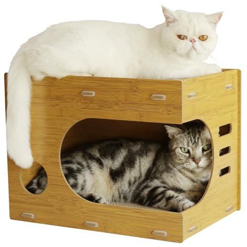 Cat Scratcher House The 15 best products compared Wild Explained