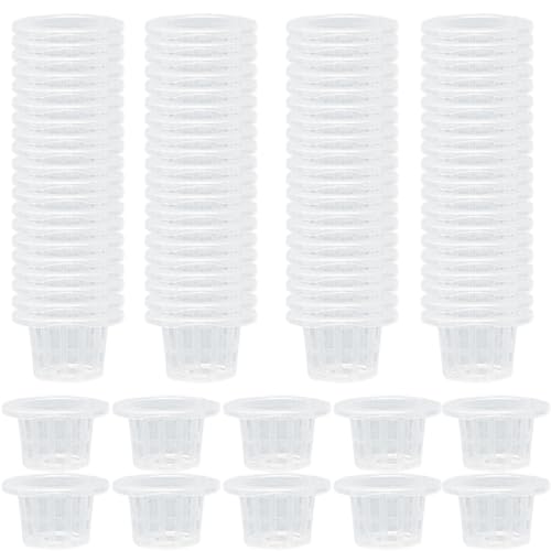 UWEOTYYY Macetas netas para hidroponics 100 Piezas de plástico macetas hidropónicas Tazas netas para Plantillas de plantación al Aire Libre de 1,4x2.4 Pulgadas pilotpots