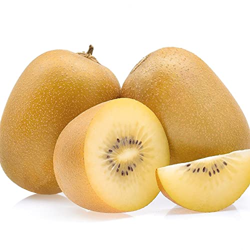 Golden Kiwi Seeds Gmo Free Perennial Deciduous Juicy Rich In Vitamins Sweet Arbors Trellises Outdoor 10Pcs Fruit Seeds Yegaol Garden #TOP2