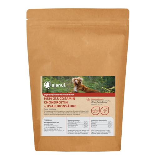 Alanui MSM Glucosamin Chondroitin + Hyaluronsäure Pulver 200g Beutel