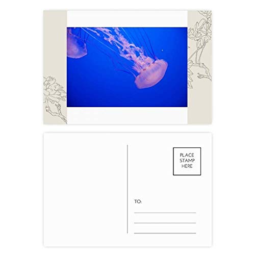 Carte postale méduse et organisme marin lot de 20 cartes de remerciement fleur MultiColor