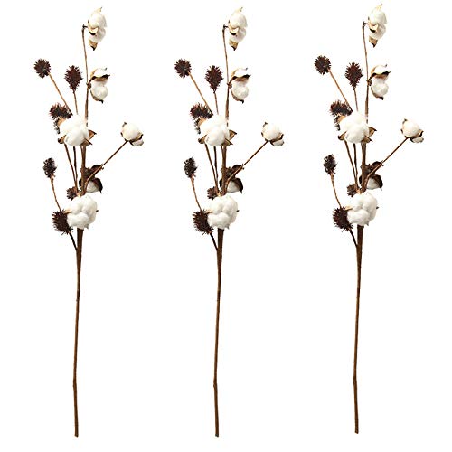 Aisamco 3 Stück Baumwollstiele Bauernhausdekoration Blumendekoration Rustikaler Stil Vasenfüller Rustikale Baumwollzweige 68cm pro Stieldekoration...
