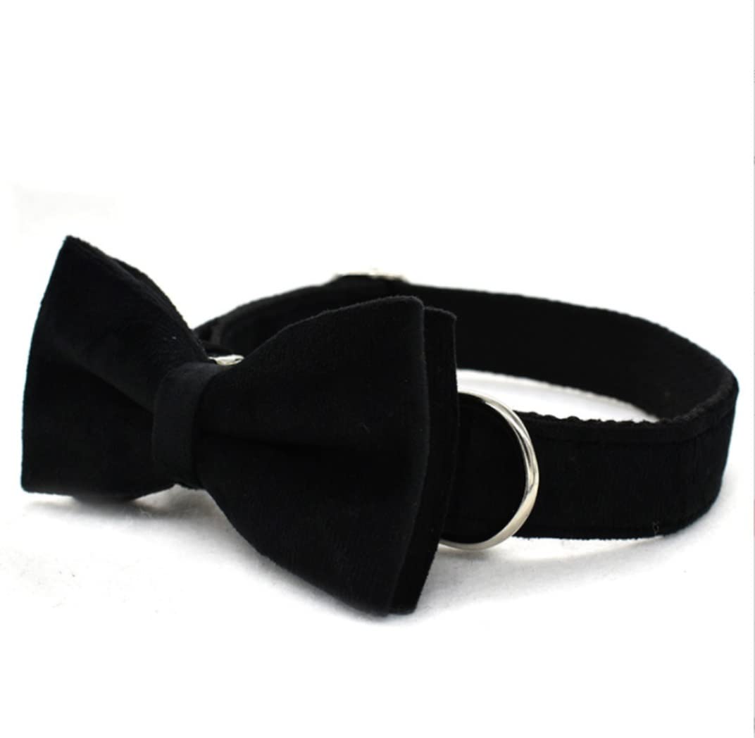Correa Perro Correr Corbata De Lazo Collar para Mascotas Diseñador Espesar Terciopelo Ajustable Perro Personalizado Y Conjunto Correa Antideslizantes Reforzada(33-51cm)