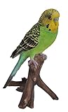Hi-Line Gift Ltd Budgie on Branch Statue,Green