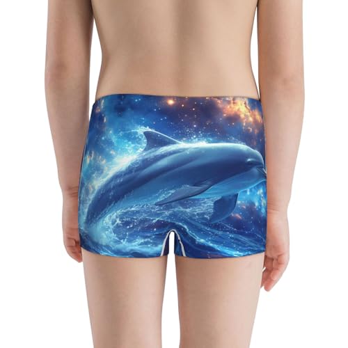 Boys' Cotton Boxer Brief Soft Underwear-Beautiful Ocean Dolphin3