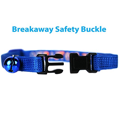 Gotags personalized cat collars with breakaway safety release buckle, custom embroidered cat collar with pet name and phone number, adjustable nylon id collar with bell for cat or kitten 3 Gotags personalized cat collars with breakaway safety release buckle, custom embroidered cat collar with pet name and phone number, adjustable nylon id collar with bell for cat or kitten - image 4