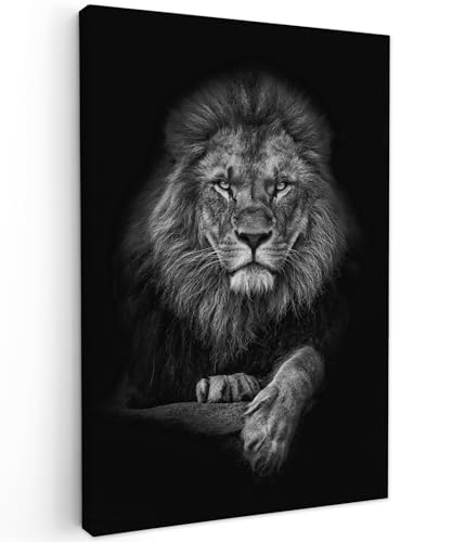 MuchoWow© Cuadros Decoracion Salon Modernos 80x120 cm Pinturas Lienzo Decorativo para Pared Decoración Hogar Lienzos León - Animales - Negro - Blanco