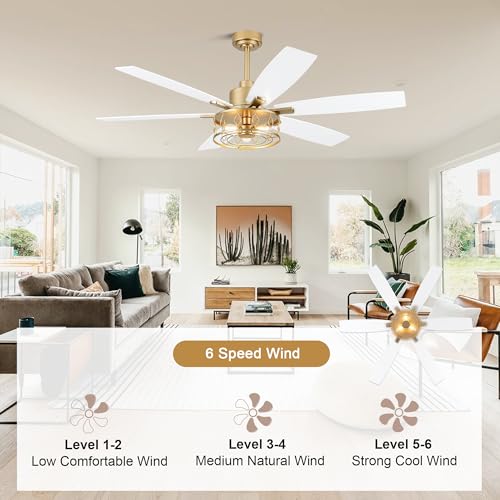 Image of White and Gold Ceiling Fan with Lights 60 inch Fandelier Ceiling Fan | Gold Caged Chandelier, Modern Fandeliers with Lights and Remote for Living Room Bedroom Covered Outdoor, Reversible 6 Speeds