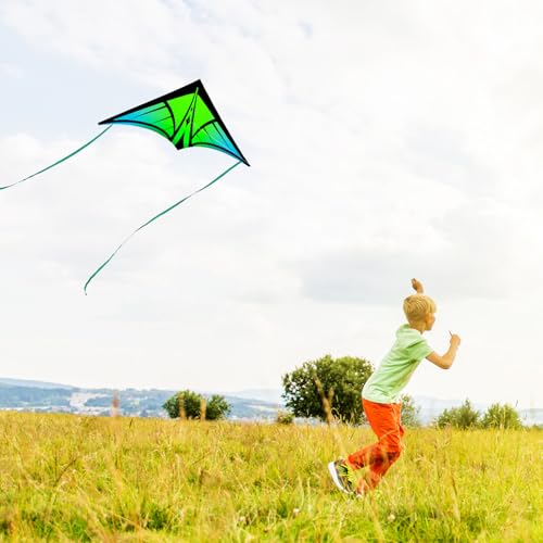 YFAFENGS Delta Kites for Beginners & Kids - Easy Fly Large Outdoor Kite for Beach & Family Activities, Durable Delta Kites for Kids Ages 8-12 & 4-8, Green