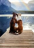 Avanti Press Two Dogs on Dock : Lake and Rainbow Anniversary Card for Husband or Wife