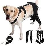 Spajoy Dog Knee Brace with Adjustable Support Acl Hind Leg for Support with Cruciate Ligament Injury, luxating Patella,Arthritis,Dog Acl Knee Brace with Dog Chest Harness