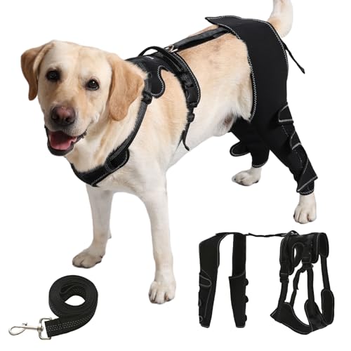 Spajoy Dog Knee Brace with Adjustable Support Acl Hind Leg for Support with Cruciate Ligament Injury, luxating Patella,Arthritis,Dog Acl Knee Brace with Dog Chest Harness