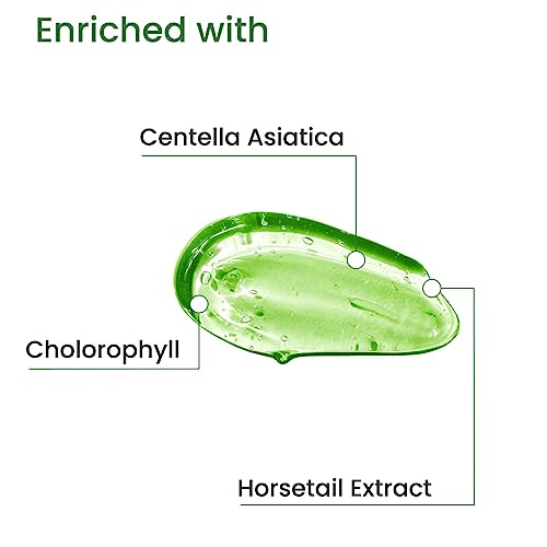 Earth Rhythm Phyto Gel with Centella Asiatica & Horsetail Extract Face Gel, 100 g (Pack of 1) - Image 4