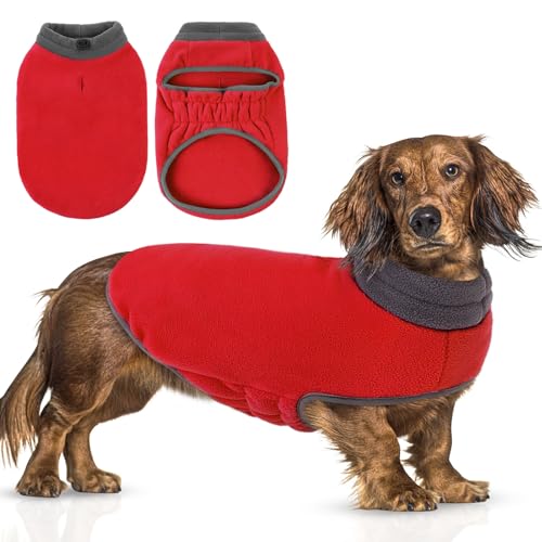 Queenmore pull grand chien polaire dachshund hiver rouge