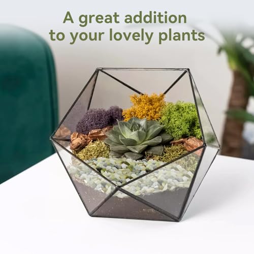 Pulovin 5LB Succulent and Cactus Pebbles, 1/5 Inch Jade Pebbles for Indoor Plants, Decorative Gravel for Vases, Bamboo, Succulent, Terrarium, Crafts, Cactus by Pulovin - Used condition - Image 4
