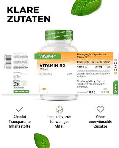 vit4ever Vitamin B2 (Riboflavin) - 250 mg - 365 Tabletten - Hochdosiert - Ohne unerwünschte Zusätze - Vegan