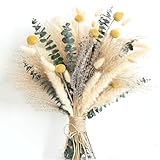 Dried Pampas Grass Bouquet – Boho Pampas Grass Decor for Home, Vase Fillers & Wedding — Natural Dried Flowers, Tall Pampas Grass for Floor Vase, Coastal, Scandinavian & Boho Room Decor