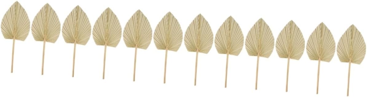 Alipis 12pcs Dried Palm Leaf Decor Tropical Wall Hanging Ornaments for Weddings Parties Home Decor Elegant Natural Palm Leaf Fans for Rustic Aesthetic