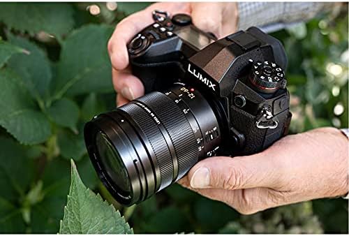 Leica DG Vario-Elmarit 12-60mm f/2.8-4 foto 2