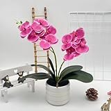 [Entretien minimum] Profitez de la beauté des fleurs sans effort ; il suffit de les essuyer pour rendre votre orchidée vivante et fraîche.