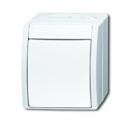 Busch Jaeger 2601/6/2300/2 EAP Combinatie schakelaar-wcd