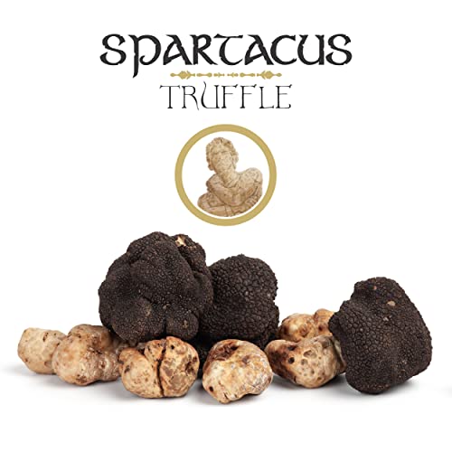 Spartacus weiße Olymp-Trüffelsauce | Italienische Spezialitäten | Gönnen Sie sich kulinarische Exzellenz | Erlesene schwarze Trüffel für Feinschmecker