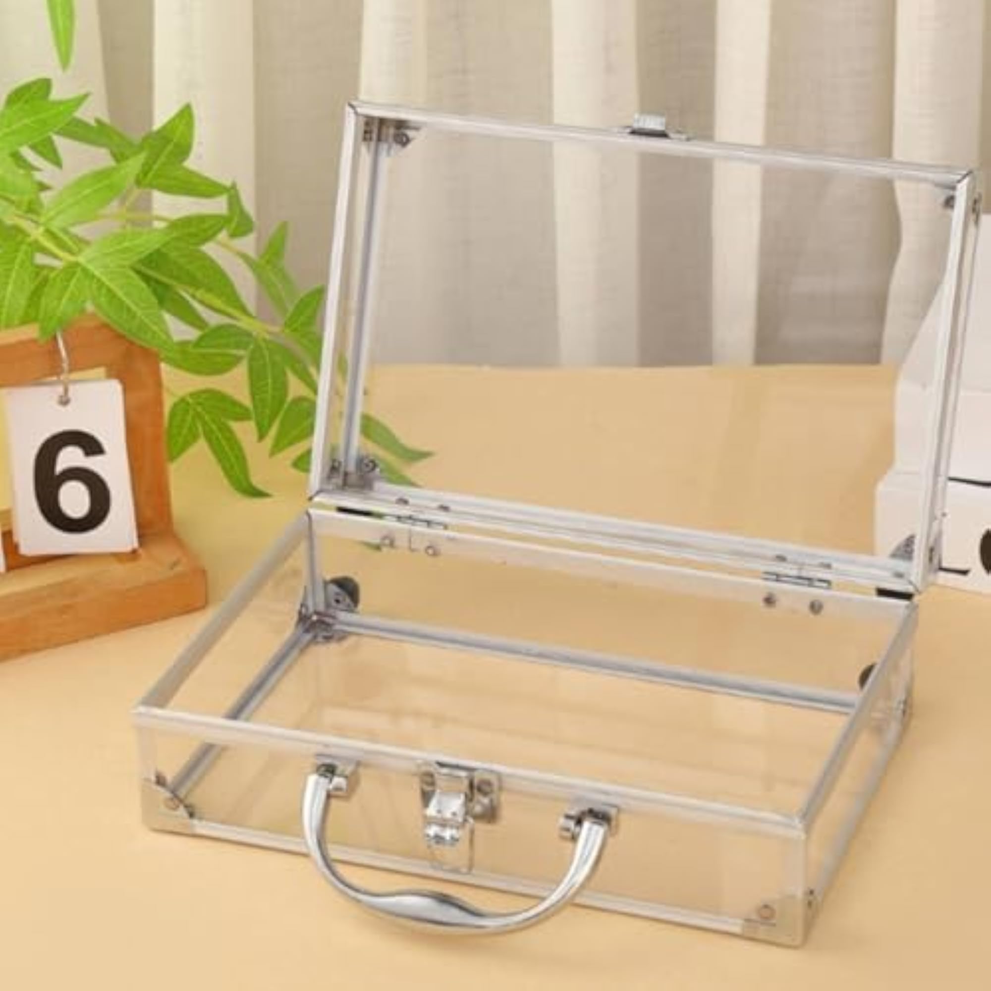 Transparent Makeup Case Large Capacity Storage Box